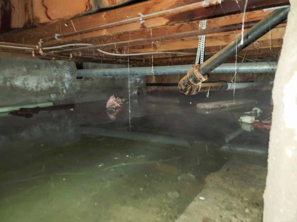Best Fire Damage Restoration  in Grimes, IA