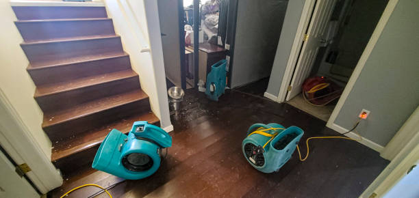 Best Emergency water damage restoration  in Grimes, IA