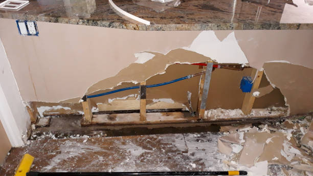 Best Mold removal after water damage  in Grimes, IA