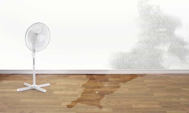 Professional Water damage restoration in Grimes, IA