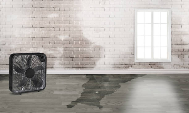 Best Water damage restoration specialists  in Grimes, IA