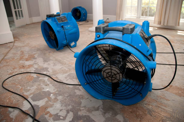 Best Ceiling water damage repair  in Grimes, IA