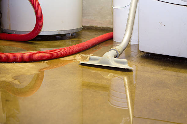 Best Residential water damage restoration  in Grimes, IA