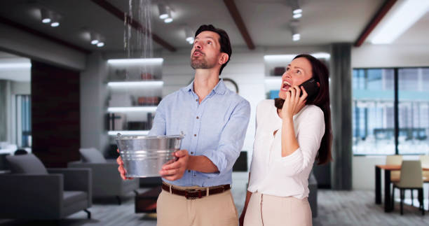 Best Sewage cleanup and water damage restoration  in Grimes, IA
