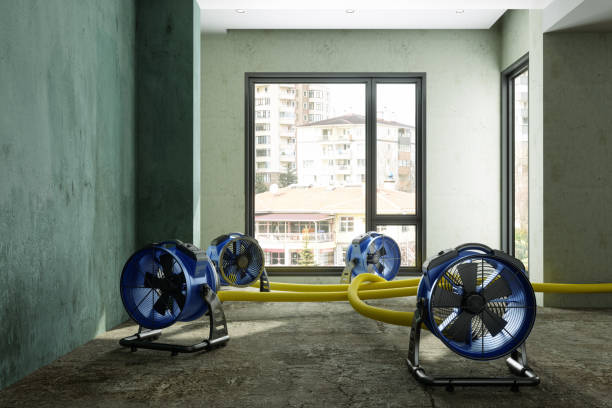 Best Water damage cleanup near me  in Grimes, IA